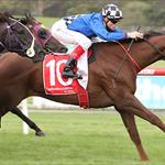 Egypt Sandown win just Magic Egypt Sandown win just Magic